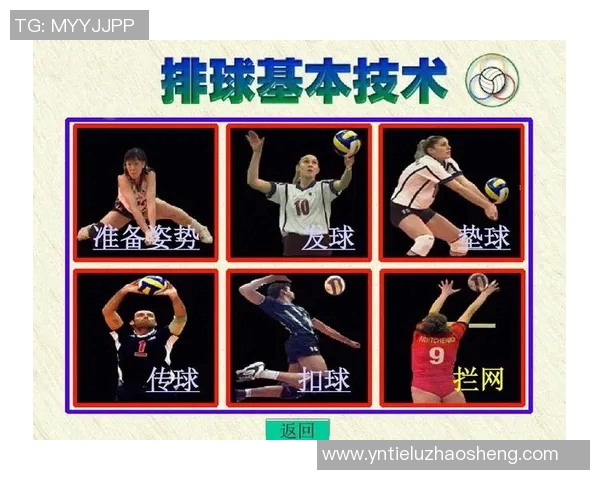 西安排球队防反战术解析与排球热点深度剖析