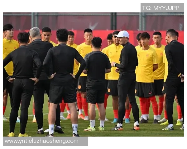 黑色足球明星的传奇之路与他们的辉煌成就探秘 黑色足球明星的传奇之路与他们的辉煌成就探秘