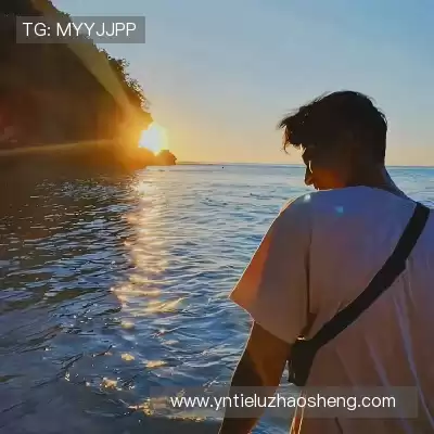 凤鲁庄